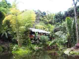 صور Mariposario, Mindo ألحيوَانَات